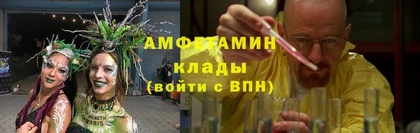 хмурый Новозыбков