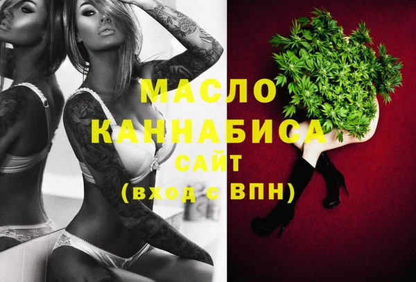 хмурый Новозыбков