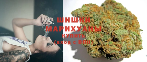 хмурый Новозыбков